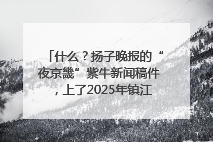 什么？扬子晚报的“夜京畿”紫牛新闻稿件，上了2025年镇江中考模拟卷！