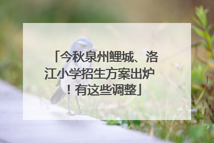 今秋泉州鲤城、洛江小学招生方案出炉！有这些调整