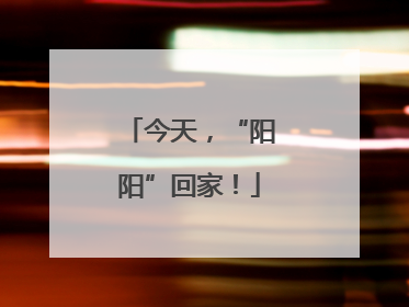 今天，“阳阳”回家！
