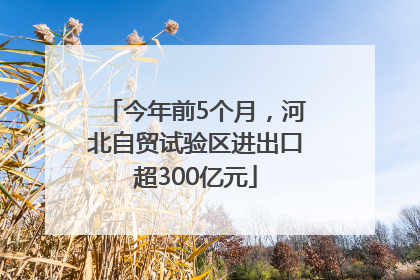 今年前5个月，河北自贸试验区进出口超300亿元