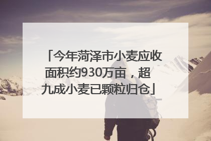 今年菏泽市小麦应收面积约930万亩，超九成小麦已颗粒归仓