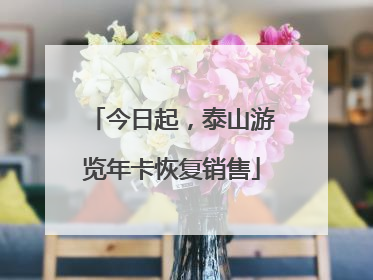 今日起，泰山游览年卡恢复销售