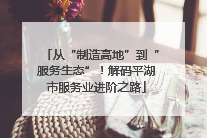 从“制造高地”到“服务生态”！解码平湖市服务业进阶之路