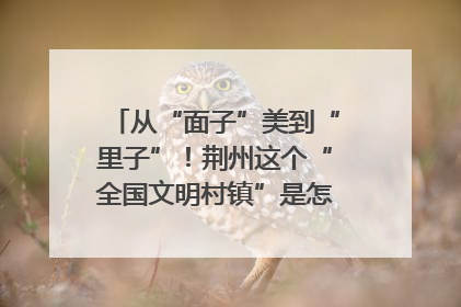 从“面子”美到“里子”！荆州这个“全国文明村镇”是怎样炼成的？