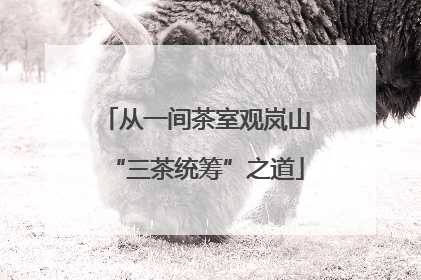 从一间茶室观岚山“三茶统筹”之道