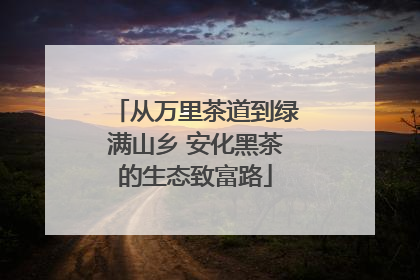 从万里茶道到绿满山乡 安化黑茶的生态致富路