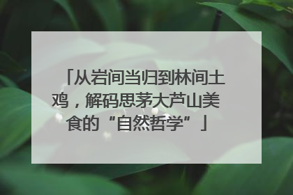 从岩间当归到林间土鸡，解码思茅大芦山美食的“自然哲学”