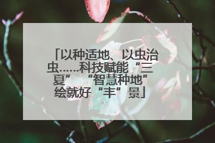 以种适地、以虫治虫……科技赋能“三夏” “智慧种地”绘就好“丰”景