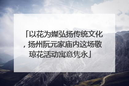 以花为媒弘扬传统文化，扬州阮元家庙内这场敬琼花活动寓意隽永