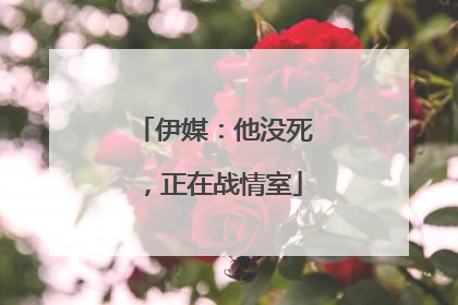 伊媒：他没死，正在战情室