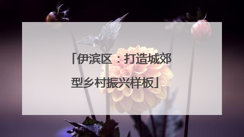 伊滨区：打造城郊型乡村振兴样板