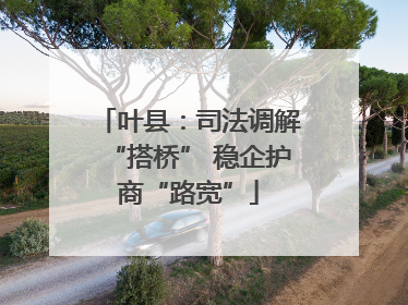 叶县：司法调解“搭桥” 稳企护商“路宽”