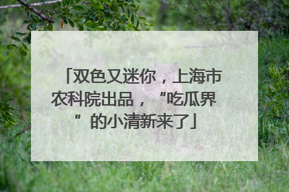 双色又迷你，上海市农科院出品，“吃瓜界”的小清新来了