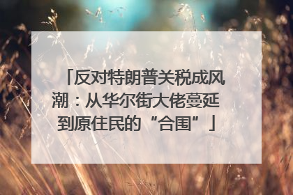反对特朗普关税成风潮：从华尔街大佬蔓延到原住民的“合围”