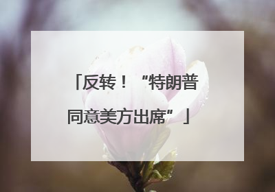反转！“特朗普同意美方出席”