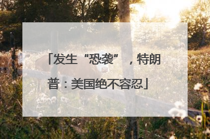 发生“恐袭”，特朗普：美国绝不容忍