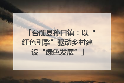台前县孙口镇：以“红色引擎”驱动乡村建设“绿色发展”