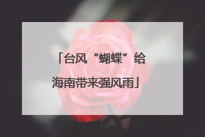 台风“蝴蝶”给海南带来强风雨