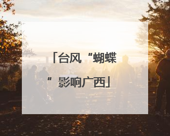 台风“蝴蝶”影响广西