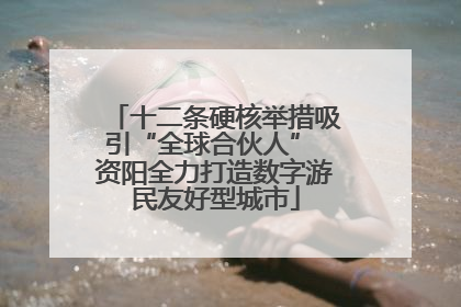 十二条硬核举措吸引“全球合伙人” 资阳全力打造数字游民友好型城市