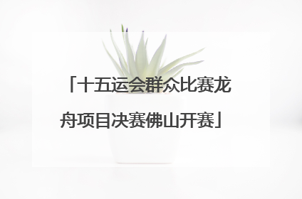 十五运会群众比赛龙舟项目决赛佛山开赛