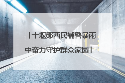 十堰郧西民辅警暴雨中奋力守护群众家园