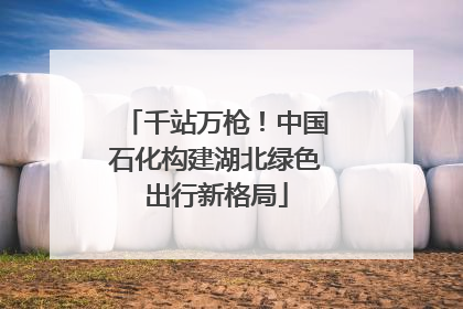 千站万枪！中国石化构建湖北绿色出行新格局