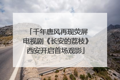 千年唐风再现荧屏 电视剧《长安的荔枝》西安开启首场观影