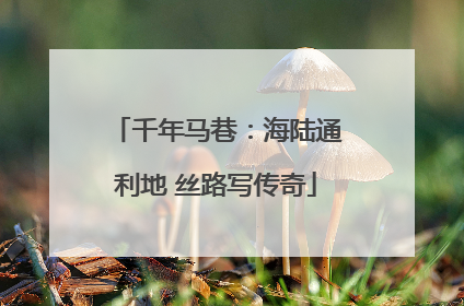 千年马巷：海陆通利地 丝路写传奇