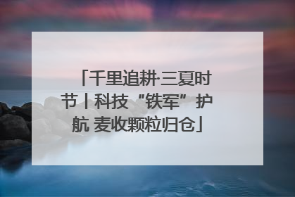 千里追耕·三夏时节丨科技“铁军”护航 麦收颗粒归仓