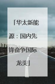 华太新能源：国内先锋奋争国际龙头