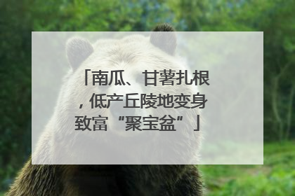 南瓜、甘薯扎根，低产丘陵地变身致富“聚宝盆”