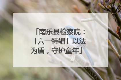 南乐县检察院：「六一特辑」以法为盾，守护童年
