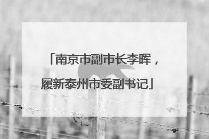 南京市副市长李晖，履新泰州市委副书记