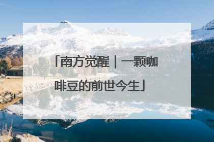 南方觉醒｜一颗咖啡豆的前世今生