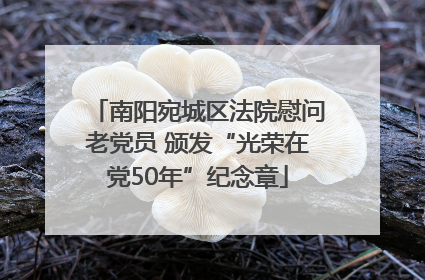 南阳宛城区法院慰问老党员 颁发“光荣在党50年”纪念章
