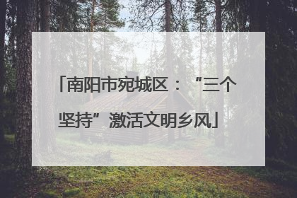 南阳市宛城区：“三个坚持”激活文明乡风