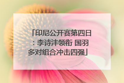 印尼公开赛第四日：李诗沣领衔 国羽多对组合冲击四强
