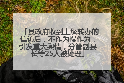 县政府收到上级转办的信访后，不作为慢作为，引发重大舆情，分管副县长等25人被处理