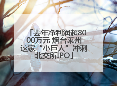 去年净利润超8000万元 烟台莱州这家“小巨人”冲刺北交所IPO