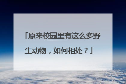 原来校园里有这么多野生动物，如何相处？