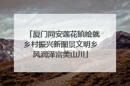 厦门同安莲花镇绘就乡村振兴新图景文明乡风润泽富美山川
