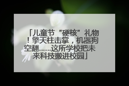 儿童节“硬核”礼物！擎天柱击掌，机器狗空翻……这所学校把未来科技搬进校园
