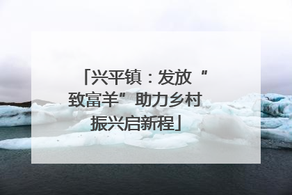 兴平镇：发放“致富羊”助力乡村振兴启新程