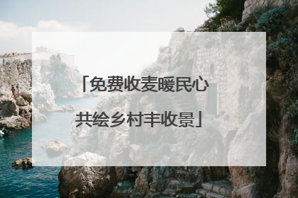 免费收麦暖民心 共绘乡村丰收景