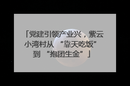 党建引领产业兴，紫云小湾村从 “靠天吃饭” 到 “抱团生金”