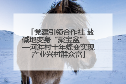 党建引领合作社 盐碱地变身“聚宝盆”——河涯村十年蝶变实现产业兴村群众富