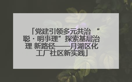 党建引领多元共治 “聪・明事理”探索基层治理 新路径——月湖区化工厂社区新实践