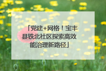 党建+网格！宝丰县铁北社区探索高效能治理新路径
