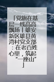 党旗在基层一线高高飘扬丨雄安新区雄县黄湾村党支部：在老百姓心里，筑起“一座山”